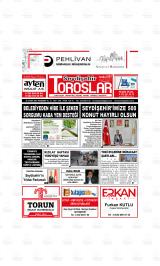 SEYDİŞEHİR TOROSLAR