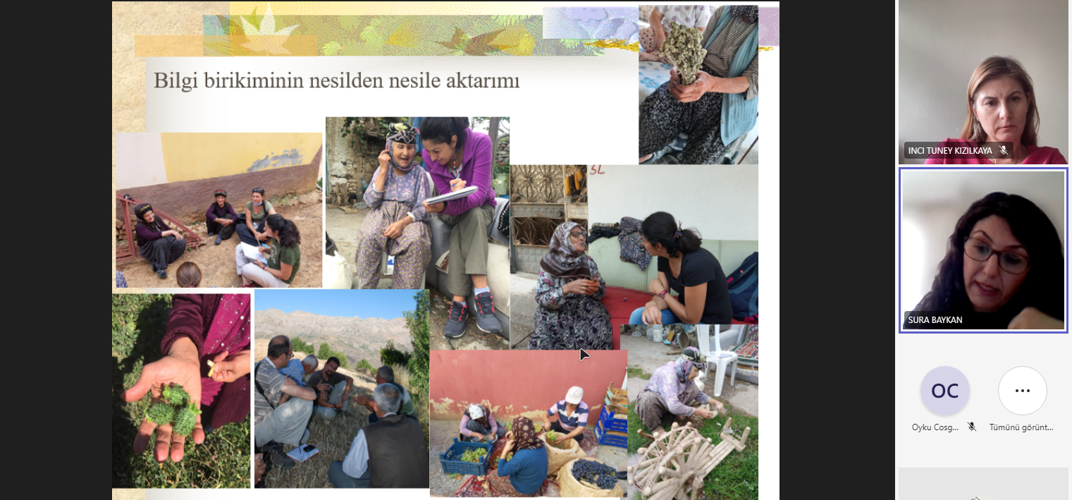 Prof. Dr. Öztürk “ Bitkisel tıbbi ürünlere ‘masum’ gözüyle bakılmamalı”