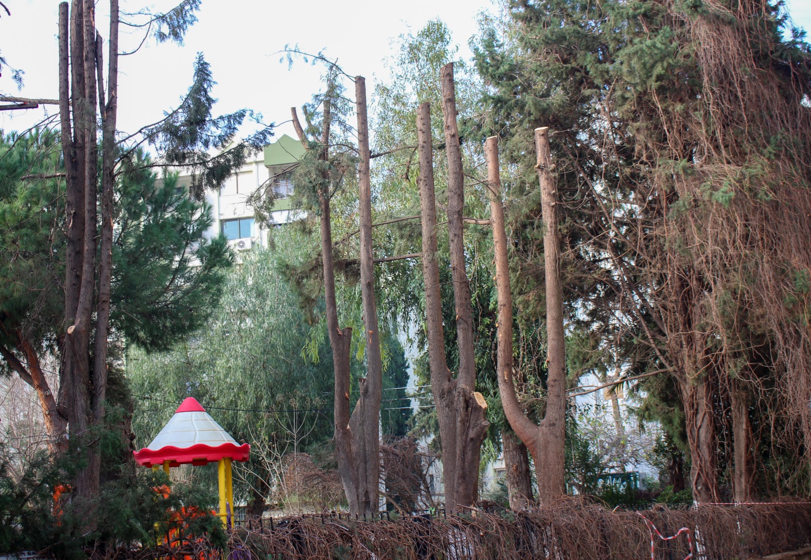 Karşıyaka’da çevre düzenleme çalışmaları hızla devam ediyor