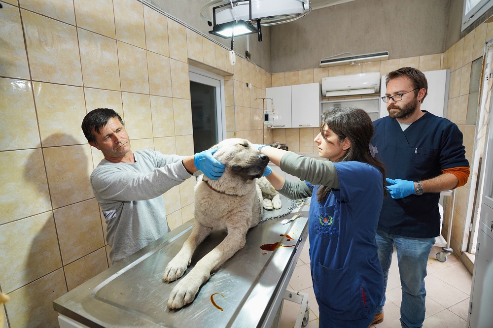 Gaziemir’de 27 bin 631 hayvana veteriner sağlık hizmeti