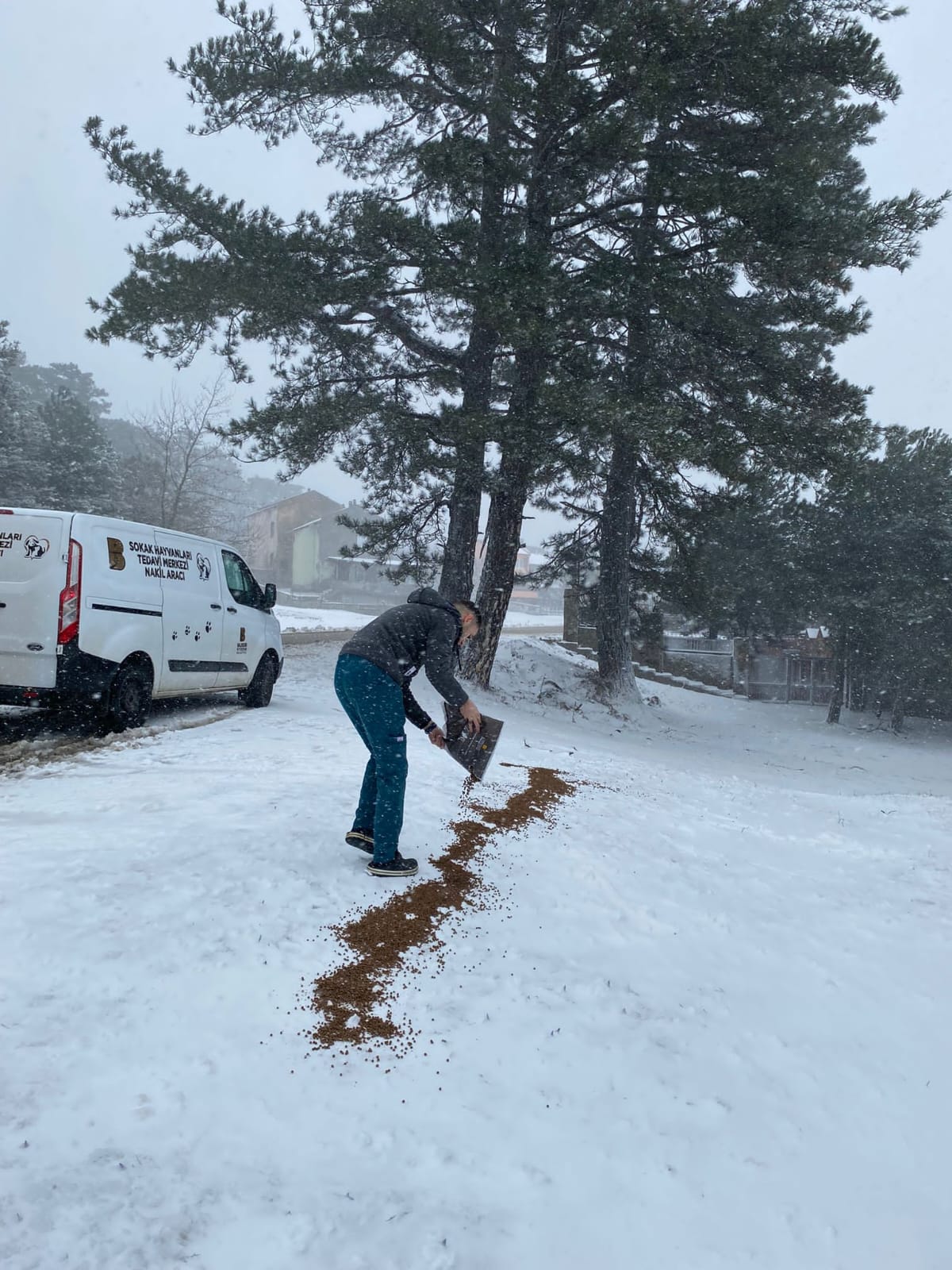 Sokak ve yaban hayvanlarına mama desteği