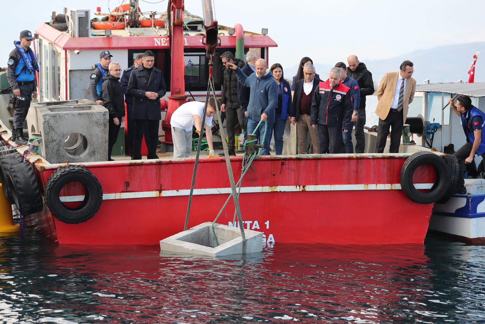 Denizde balık popülasyonu artacak