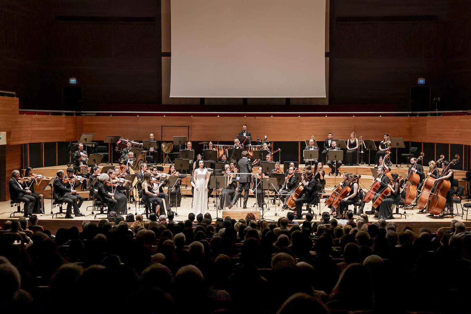 Olten Filarmoni Orkestrasından unutulmaz gece
