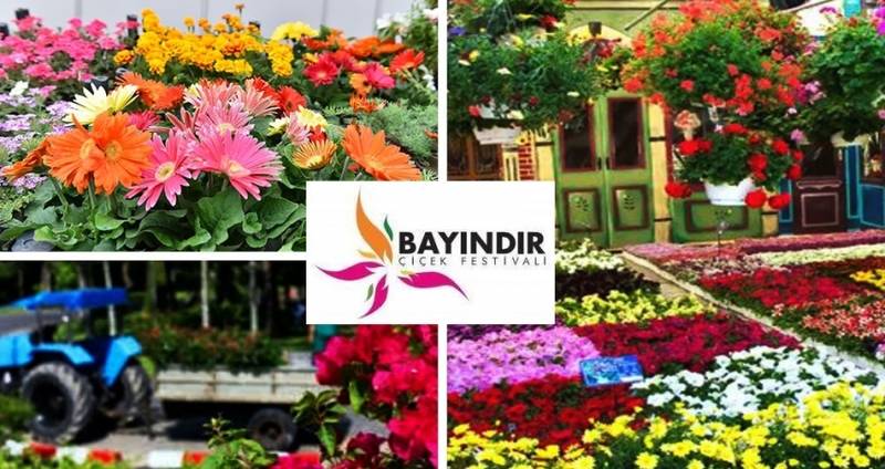 3.Bayındır Turan Nergis ve Kuru Çiçek Festivali Yapıldı