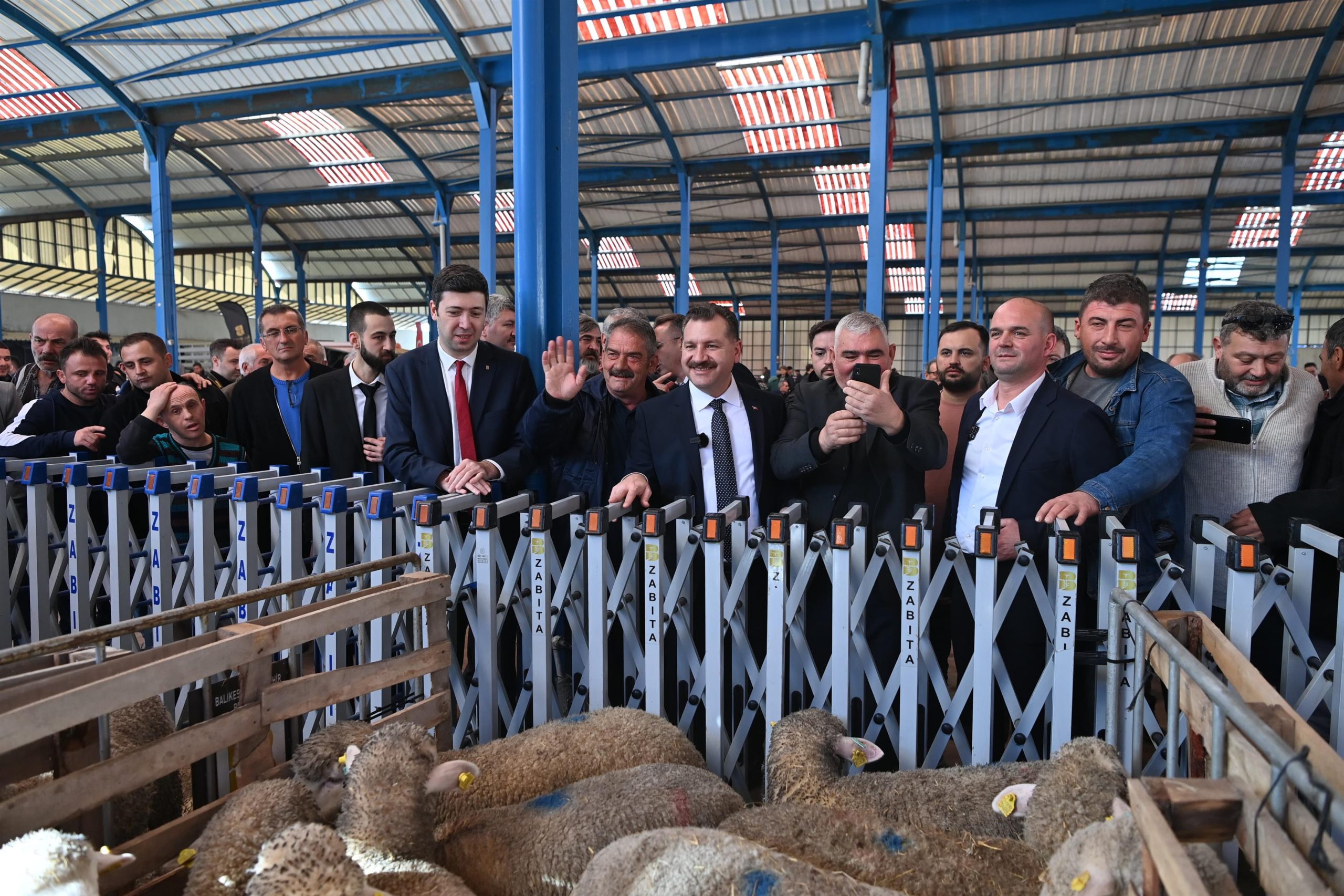 Büyükşehir Savaştepe de 550 küçükbaş dağıttı