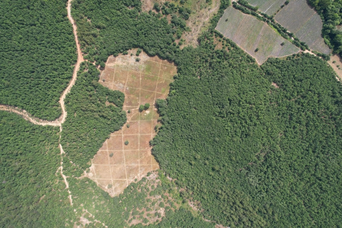 Kaz Dağları’nda Sağlık Odaklı Turizm Atağı