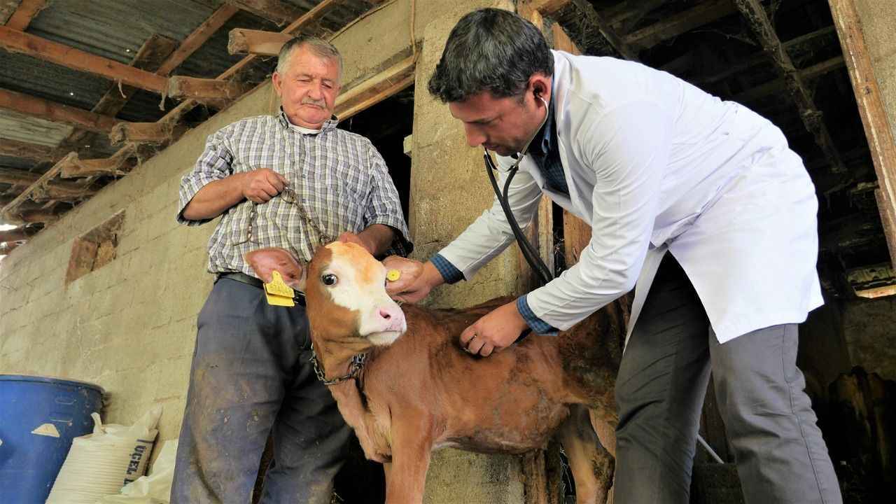 Pekdemir’den Besicilere Ücretsiz Veterinerlik Müjdesi