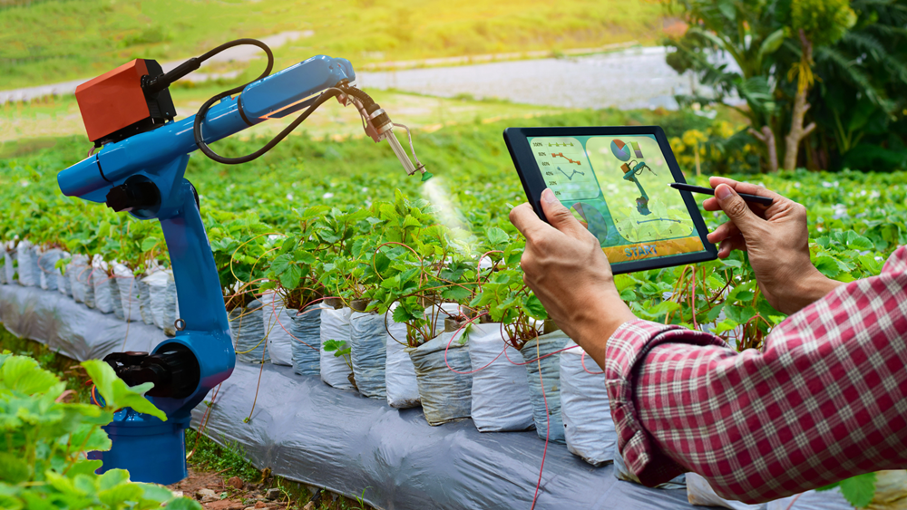Tarım fuarı üreticinin ayağına gidiyor