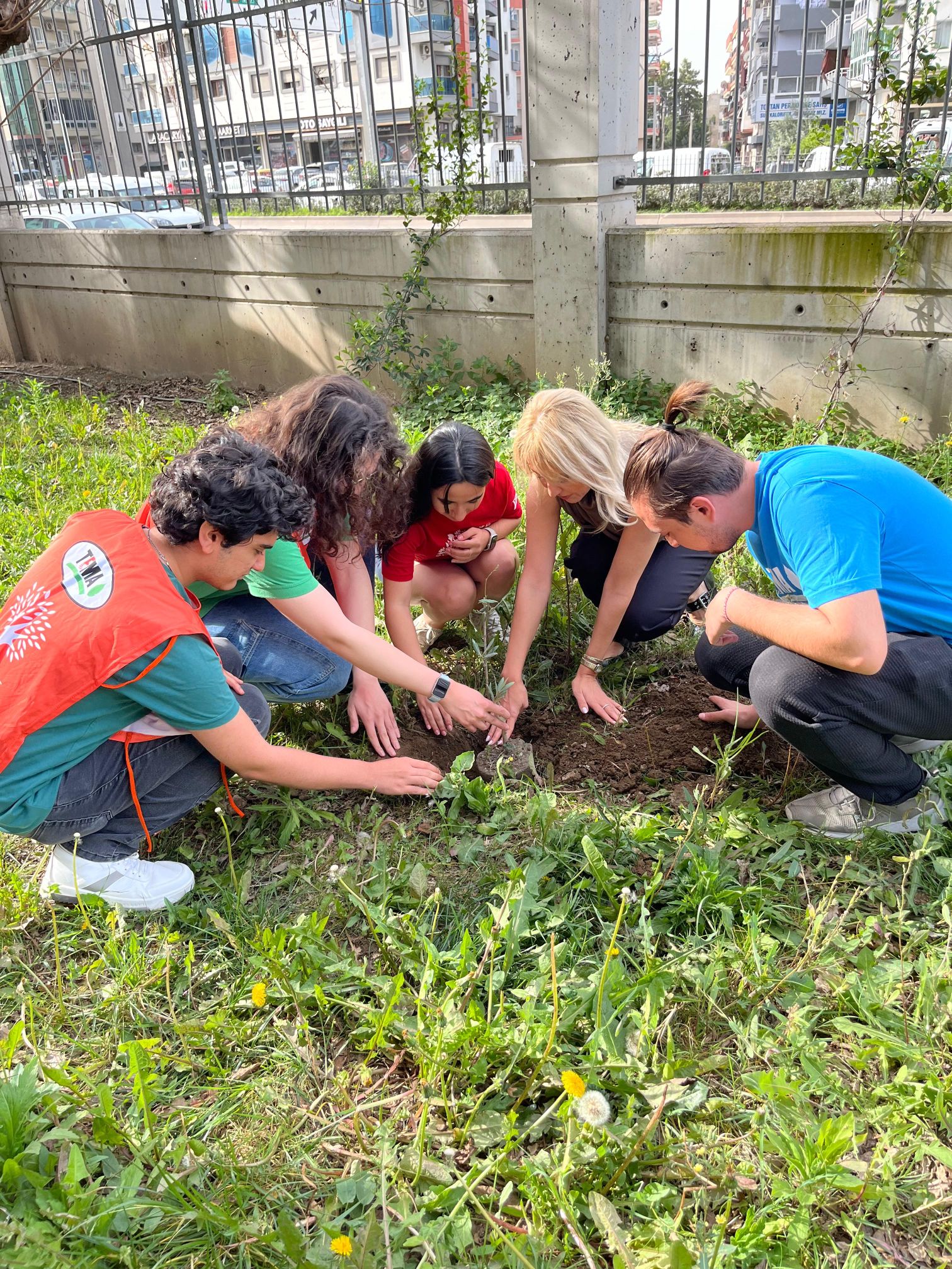 Egeli gençler zeytin fidanlarını toprakla buluşturdu
