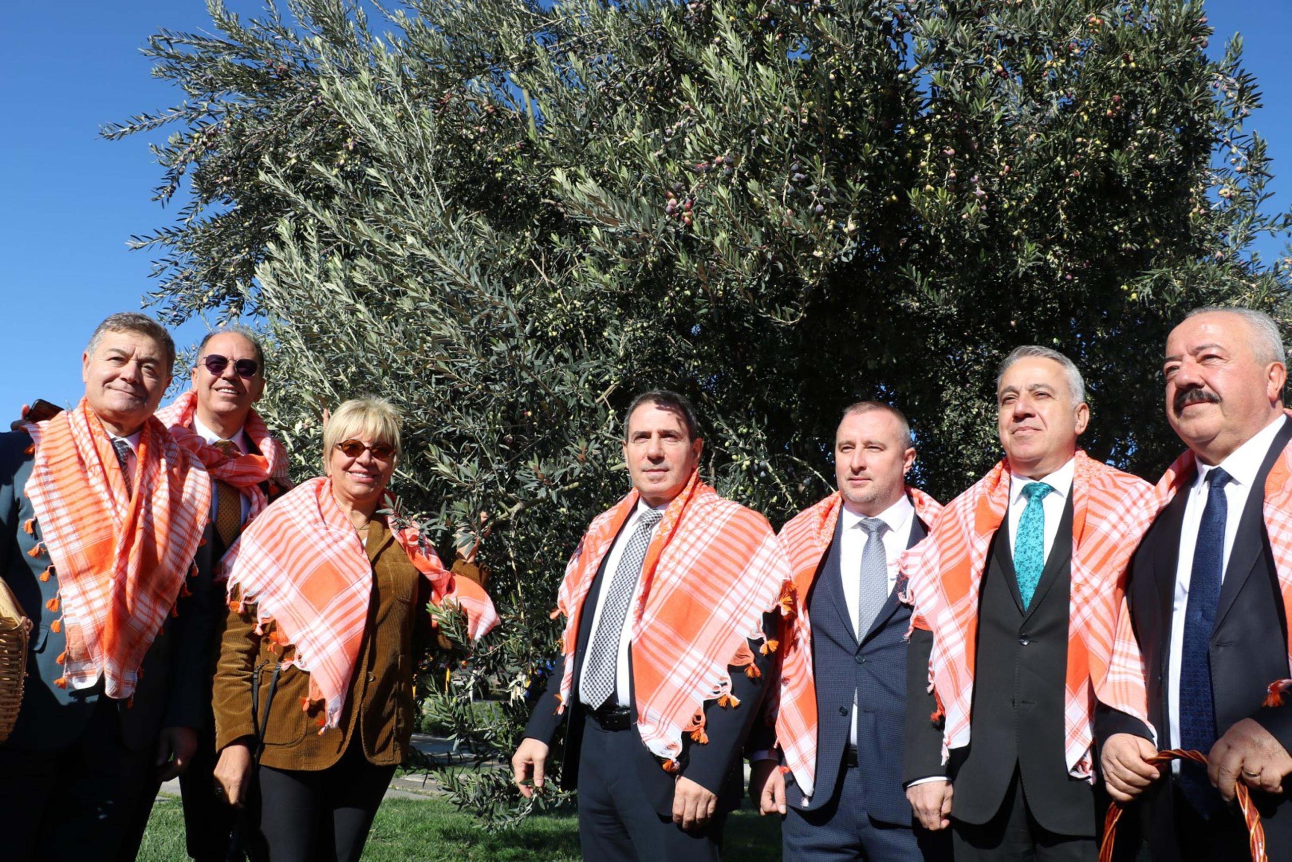 Bergama’da zeytin ve zeytinyağı sezonu başladı